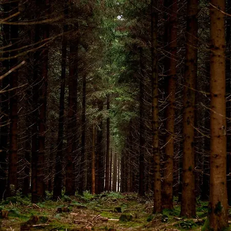 Hotel Adler Bad Wurzach