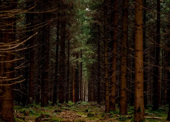 Hotel Adler Bad Wurzach